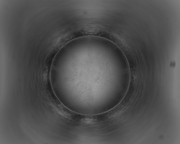 X0000091730745200708241412