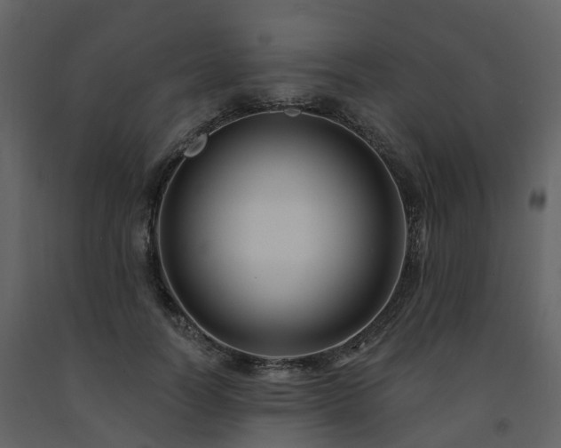 X0000091730746200708241412