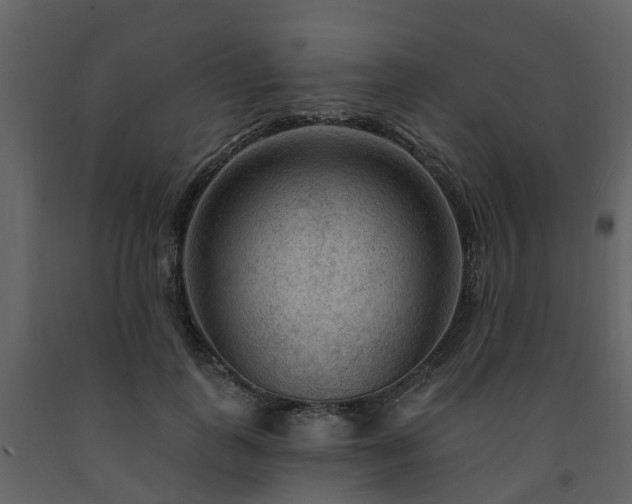 X0000091730747200708241412