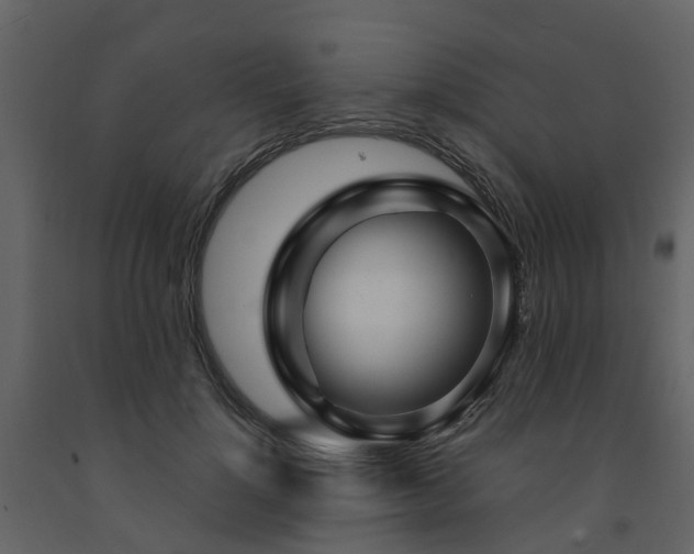 X0000091730748200708241412