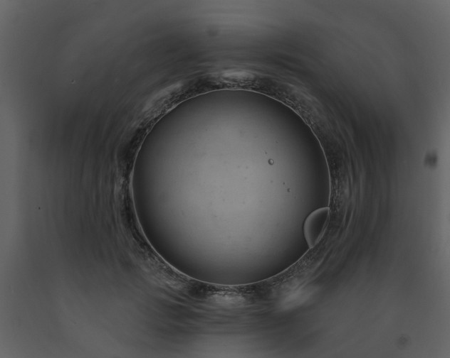 X0000091730749200708241412