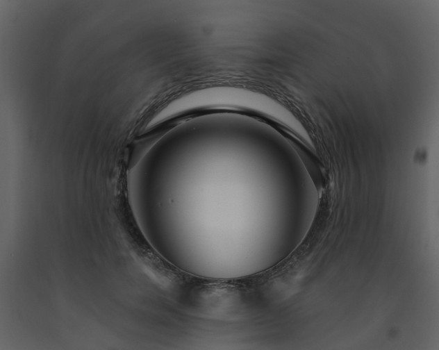 X0000091730750200708241412