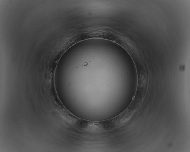 X0000091730753200708241412