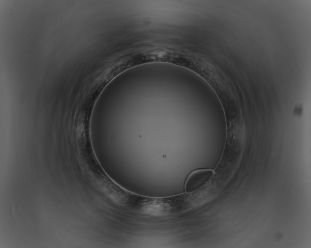 X0000091730754200708241412