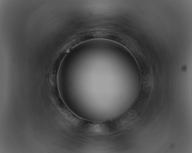 X0000091730755200708241412