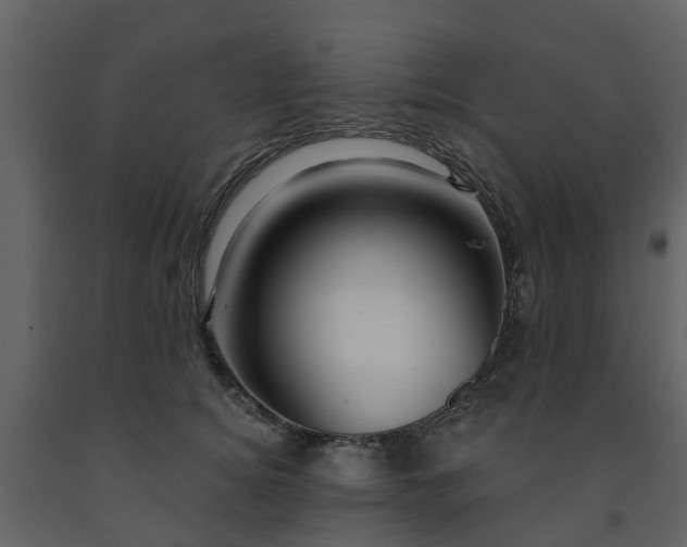 X0000091730756200708241412