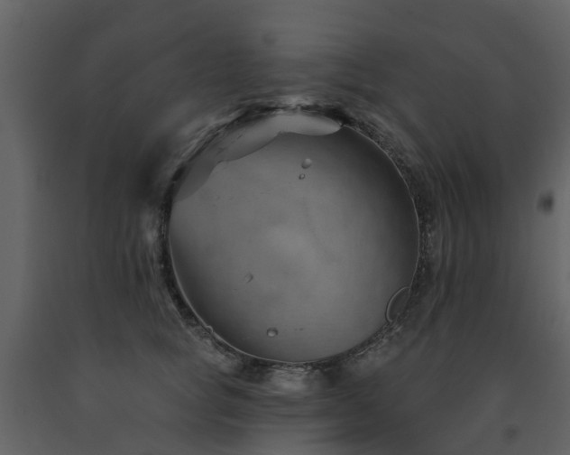 X0000091730757200708241412