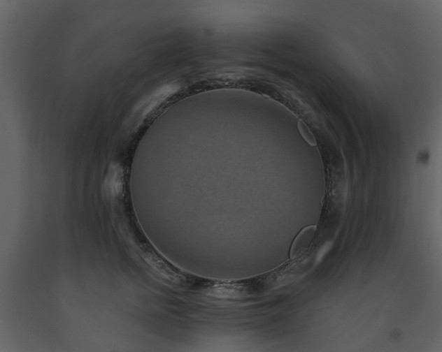 X0000091730758200708241412