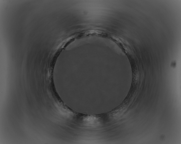 X0000091730759200708241412