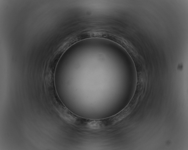 X0000091730761200708241412