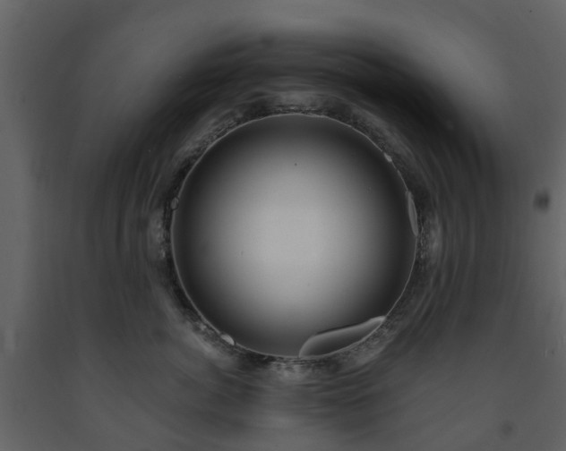 X0000091730764200708241412