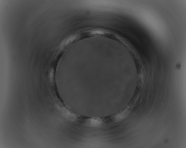 X0000091730765200708241412