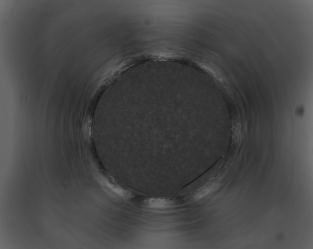 X0000091730766200708241412