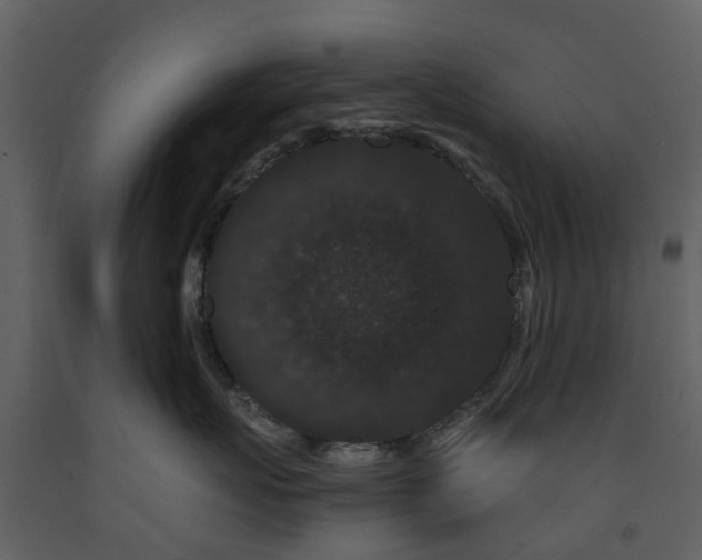 X0000091730767200708241412