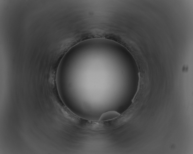 X0000091730768200708241412