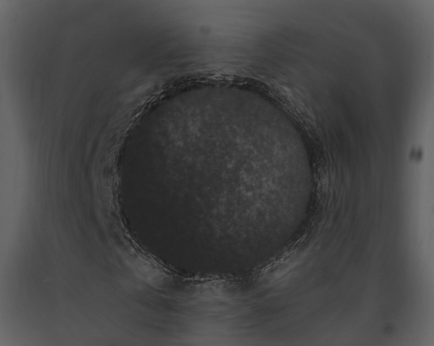 X0000091730769200708241412