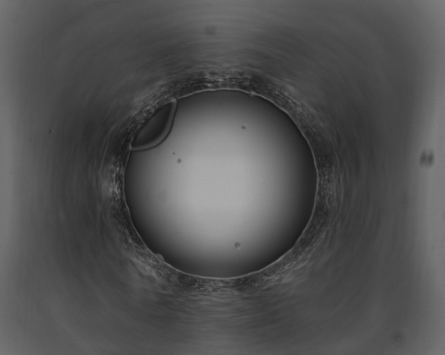 X0000091730770200708241412