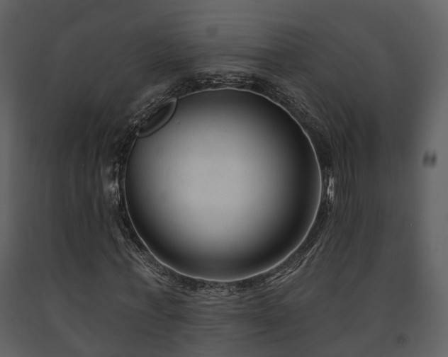 X0000091730771200708241412