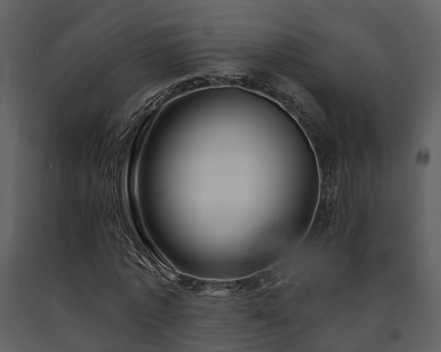 X0000091730773200708241412