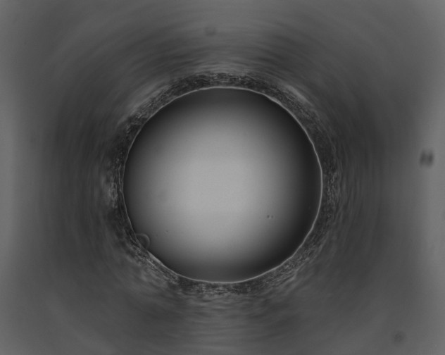 X0000091730774200708241412