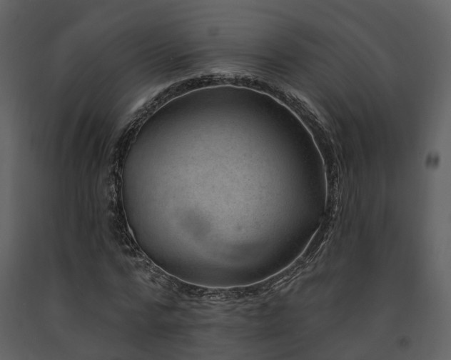 X0000091730776200708241412