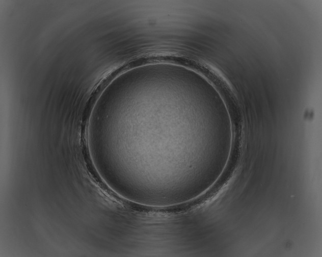 X0000091730777200708241412