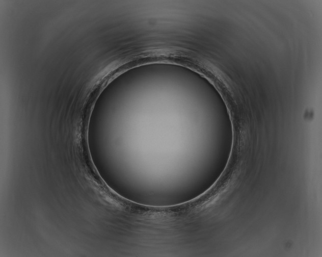 X0000091730778200708241412
