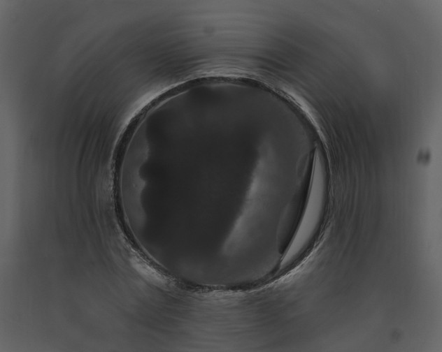 X0000091730779200708241412