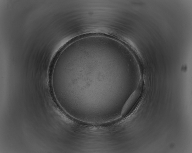 X0000091730780200708241412
