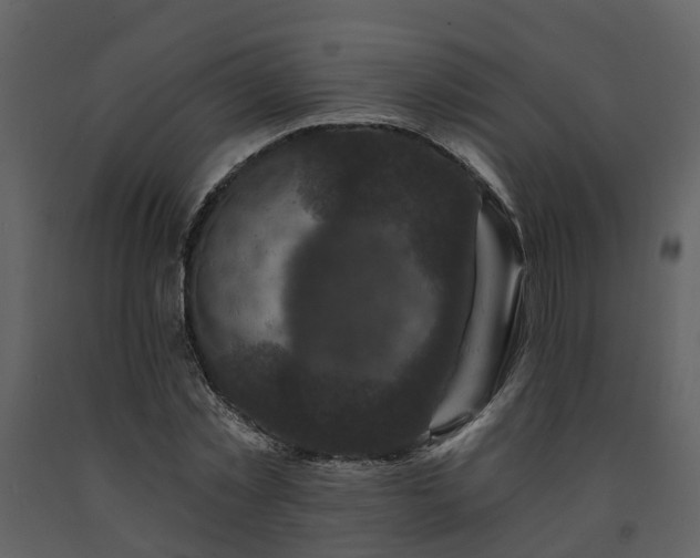 X0000091730781200708241412