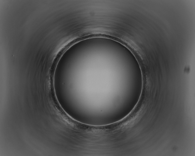 X0000091730782200708241412