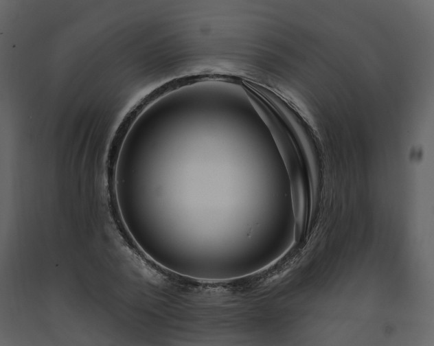 X0000091730784200708241412