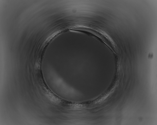 X0000091730785200708241412