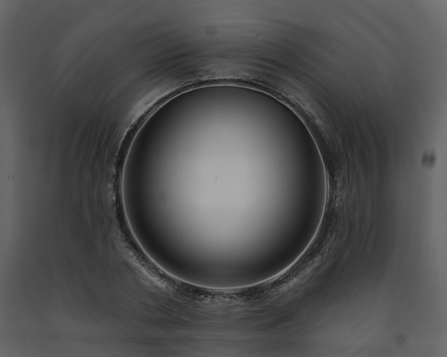 X0000091730786200708241412