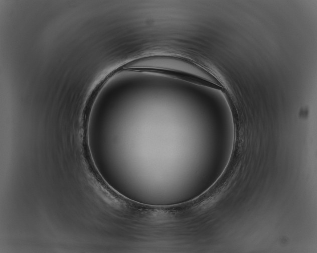 X0000091730787200708241412