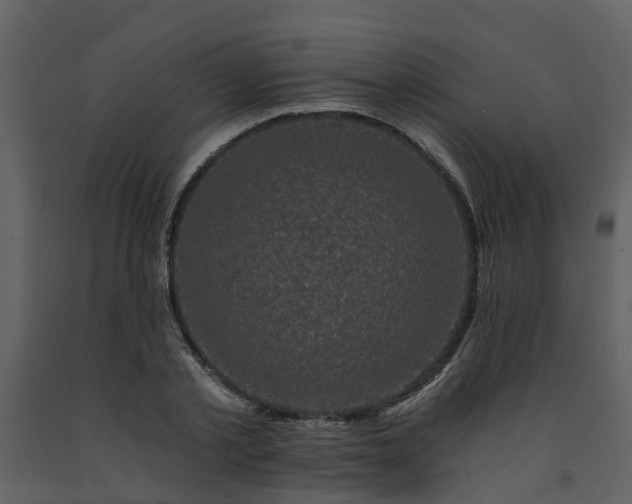 X0000091730789200708241412