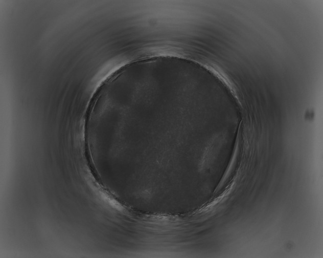 X0000091730790200708241412