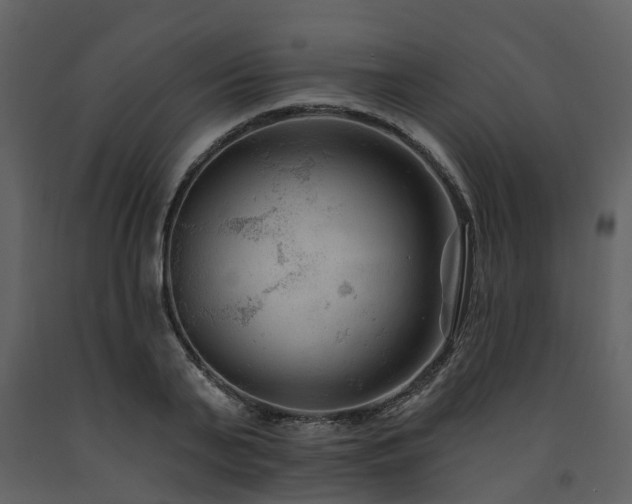 X0000091730791200708241412