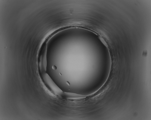X0000091730792200708241412