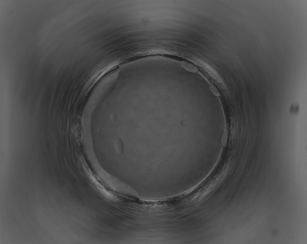 X0000091730793200708241411