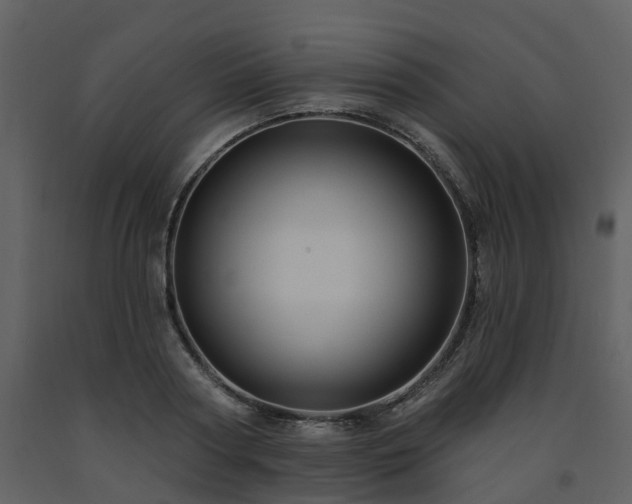 X0000091730794200708241411