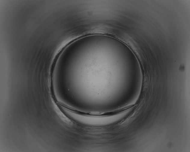 X0000091730795200708241411