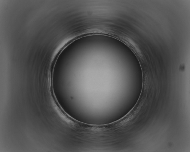 X0000091730796200708241411