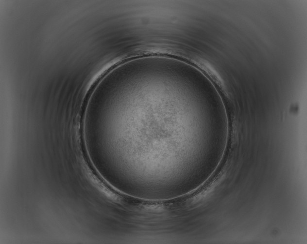X0000091730798200708241411