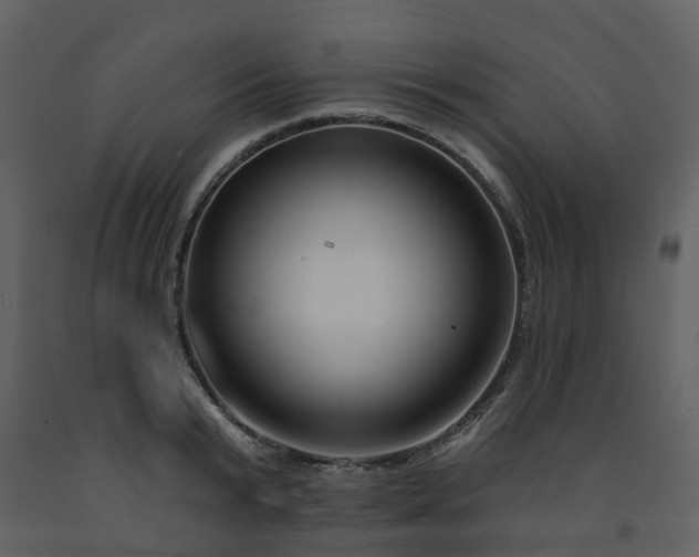 X0000091730799200708241411