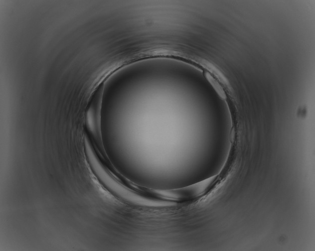 X0000091730801200708241411