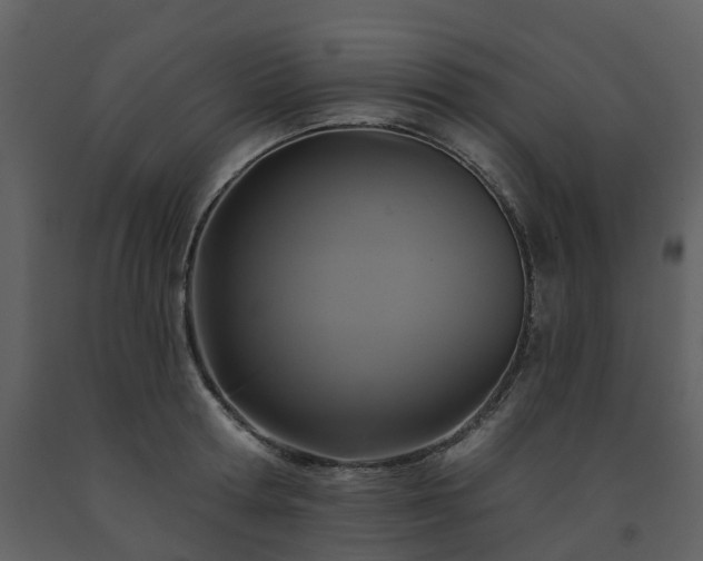X0000091730802200708241411