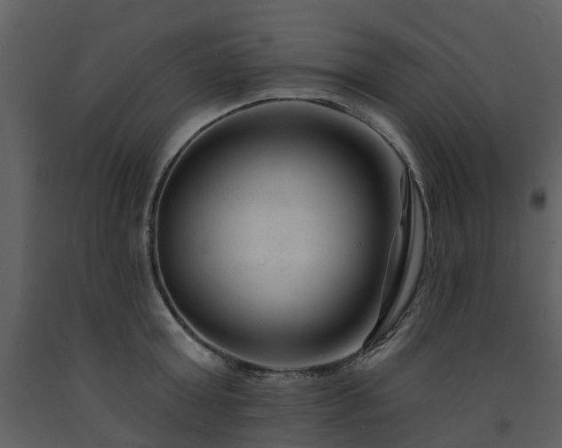 X0000091730803200708241411