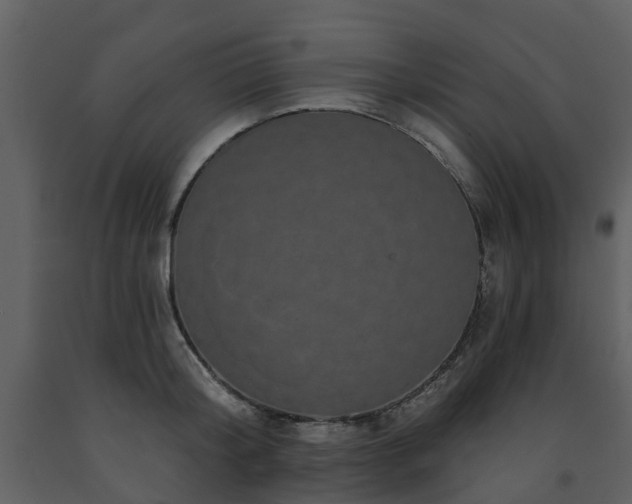 X0000091730804200708241411
