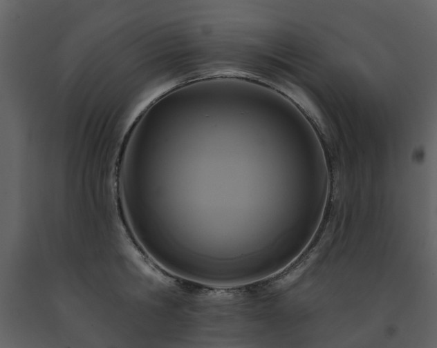 X0000091730806200708241411